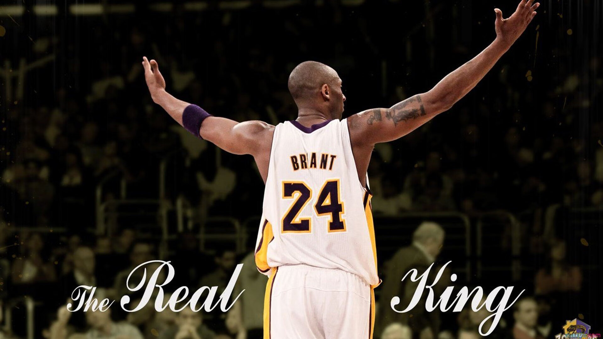 帕金斯与世界高手同场竞技，帕金斯什么水平